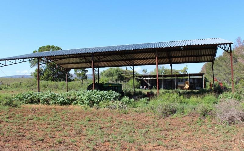 4 Bedroom Property for Sale in Grahamstown Eastern Cape
